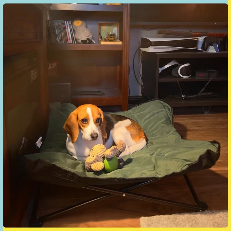 Portable Folding Pet Bed Outdo - đánh giá và giá Outdoor Camping Dog Bed