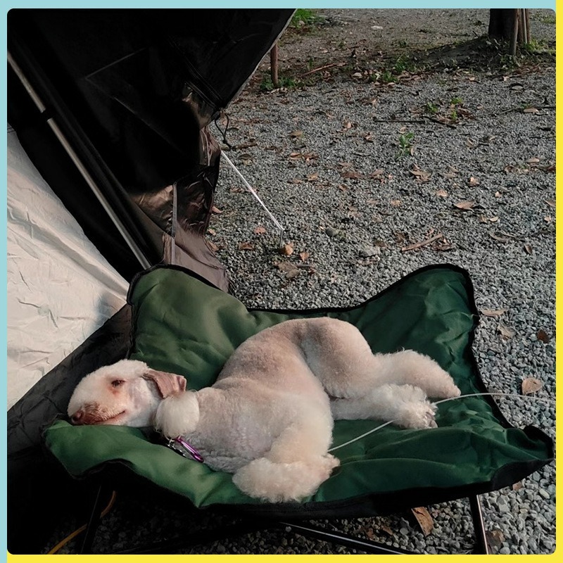 Portable Folding Pet Bed Outdo - đánh giá và giá Outdoor Camping Dog Bed